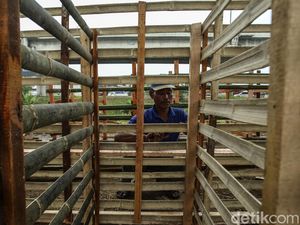 Melihat Pembuatan Kandang Hewan Kurban Jelang Idul Adha