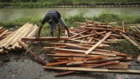 Seperti diketahui, Idul Adha akan jatuh pada 29 Juni 2023 mendatang. Menjelang perayaan tersebut, pedagang hewan kurban mulai bermunculan di Jakarta.  