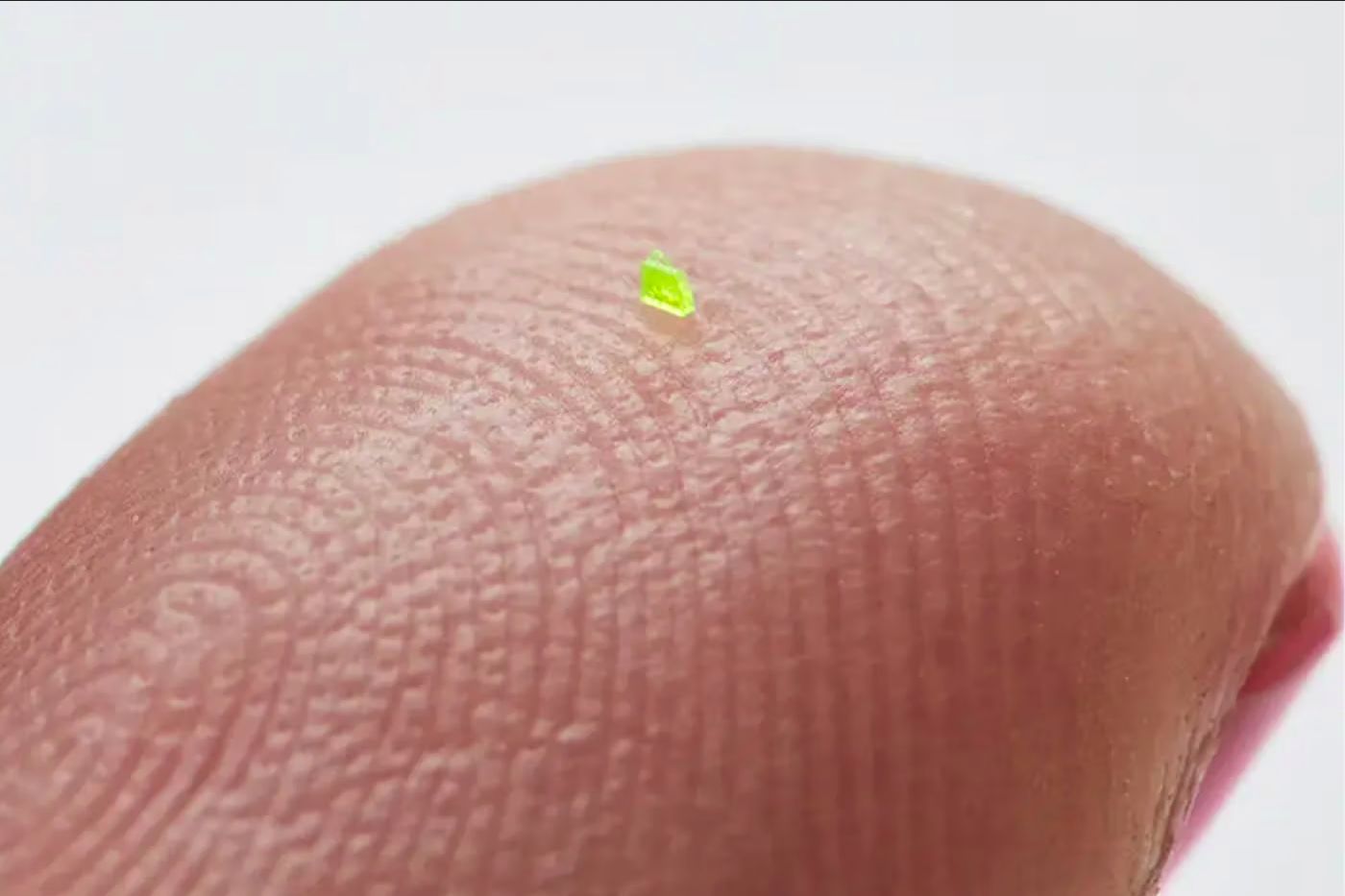 Microscopic Handbag.