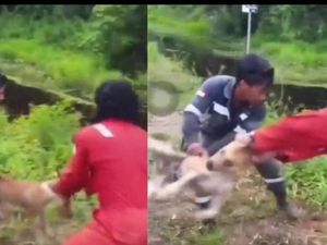 Fakta-fakta 3 Pria di Nunukan Buang Anjing ke Sungai hingga Diterkam Buaya