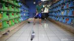 Pos Meti, Lapak Burung Merpati Tomprang Terbesar di Jakarta