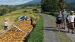 Subak di Jatiluwih yang Tak Sekadar Indah