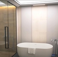 Dari 13 kamar mandi yang ada di rumah Villa Amara ini, beberapa di antaranya dilengkapi bathtub dengan bentuk yang berbeda-beda. Ada bathtub klasik seperti di foto ini, ada juga bathtub dengan desain modern. Foto: Dok. YouTube Luxe List