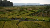 Berbagai kemegahan dari pemandangan alam pun menjadi daya tarik bagi pesepeda. Mereka menikmati hamparan sawah yang luas saat melintasi daerah Kulon Progo, DI Yogyakarta. Keletihan selama perjalanan sedikit terobati saat menyaksikan panorama yang tersaji. (ANTARA FOTO/Prasetyo Utomo)  