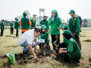 Tanam Pohon di Lingkungan Sekolah untuk Penghijauan