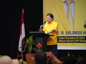 Respons Airlangga soal Adian Sebut Suara Anies Bakal Tergerus Habis