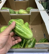 Foto Mengecoh mata