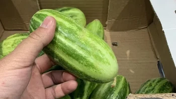 Yang pasti ini bukan semangka... Foto: Reddit