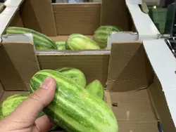 Sial, Deretan Foto Ini Benar-benar Mengecoh Mata