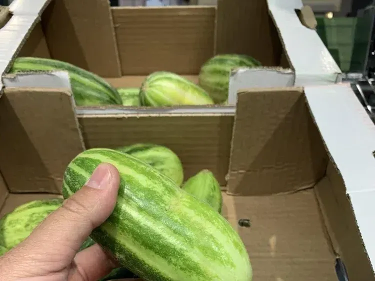 Sial, Deretan Foto Ini Benar-benar Mengecoh Mata
