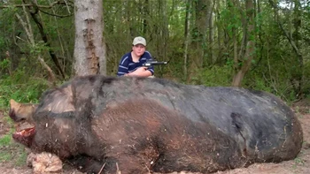 Bocah sebelas tahun ini menembak babi hutan Hogzilla di Georgia. Beratnya 476 kilogram dan panjang 3 meter! Beberapa orang tidak percaya gambar itu nyata, tetapi National Geographic menyatakan bahwa mereka percaya itu. Bukan hal yang aneh jika babi hutan mencapai berat hingga 362 kilogram. Foto: Zmescience