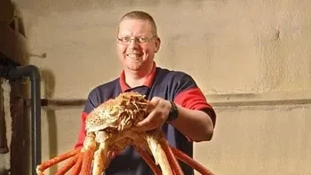 Kepiting adalah hewan yang cukup mengagumkan , tapi mungkin ada sesuatu di perairan Jepang. Dengan berat mencapai 19 kg, kepiting laba-laba raksasa Jepang telah lama menjadi makanan pokok nelayan Jepang dan dapat menimbulkan luka serius dengan cakarnya yang kuat. Namun, mereka biasanya menyimpan senjata mereka untuk mangsanya. Mereka memiliki rentang kaki terbesar dari semua arthropoda, mencapai 3,8 meter dari cakar ke cakar. Meskipun penampilannya mengancam, Kepiting Laba-laba Jepang biasanya memiliki watak yang sangat lembut. Foto: Zmescience