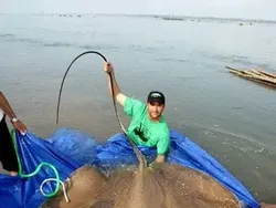 Hewan Raksasa Ini Benar-benar Ada Walau Sulit Dipercaya Keberadaannya