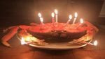 Kocak! Akun Twitter Ini Isinya Foto Kue yang Jelek dan Menyeramkan