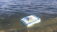 Untuk asal usul foto kue biasanya berasal dari kiriman netizen dari berbagai negara. Seperti foto kue dengan desain bunga jadul yang secara misterius mengambang di bawa ombak lautan.  Foto: Site News