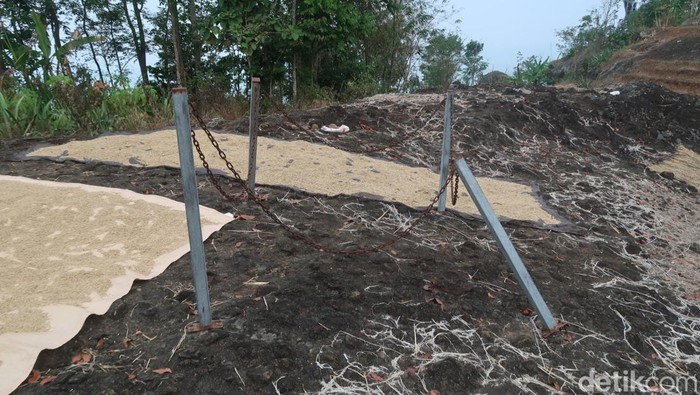 Lokasi konon bekas tapak jaran (kuda) sembrani di Kampung Pitu, Pedukuhan Nglanggeran Wetan, Kalurahan Nglanggeran, Kapanewon Patuk, Kabupaten Gunungkidul. Foto diambil pada Jumat (16/6/2023).