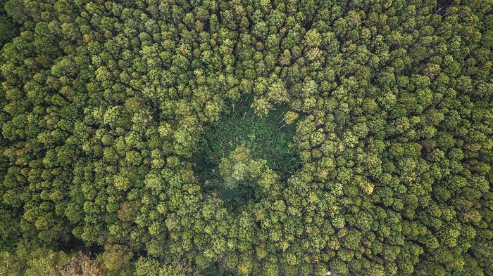 Foto udara kawasan hutan lindung Jayagiri di Lembang, Kabupaten Bandung Barat, Jawa Barat, Jumat (16/62023). Data dari Organisasi Pangan dan Pertanian Dunia (FAO) mencatat, Indonesia menjadi negara kedelapan yang memiliki hutan terluas di dunia dengan luas mencapai 92 juta ha yang diharapkan mampu menyerap emisi karbon dari persoalan iklim secara global. ANTARA FOTO/Raisan Al Farisi/tom.