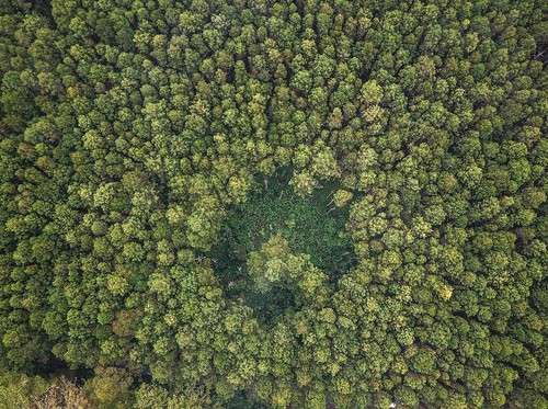 Sederet Stimulus Pemerintah Genjot Dunia Usaha Makin Jaga Lingkungan