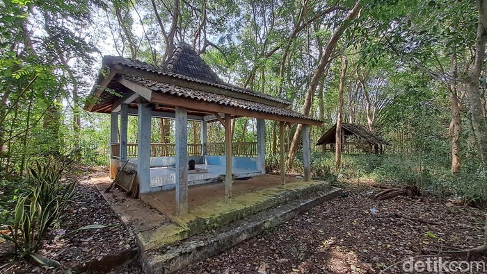 Bumi Angker merupakan petilasan Mbah Kajoran, seorang putra raja dari Keraton Surakarta Hadiningrat. Konon kayunya dikeramatkan dan ada penampakan harimau peliharaan Mbah Kajoran. Foto diunggah Sabtu (17/6/2023).