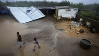 Topan juga mengakibatkan atap rumah ambruk di Mandvi, Distrik Kutch, negara bagian Gujarat. 