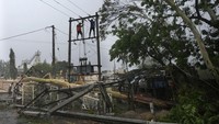 Pohon tumbang menimpa fasilitas listrik. 