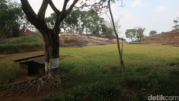 Suasana di Kampung Pitu, Nglanggeran, Gunungkidul, Jumat (16/6/2023).