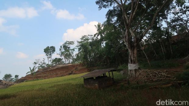 Suasana di Kampung Pitu, Pedukuhan Nglanggeran Wetan, Kalurahan Nglanggeran, Kapanewon Patuk, Kabupaten Gunungkidul, Jumat (16/6/2023).