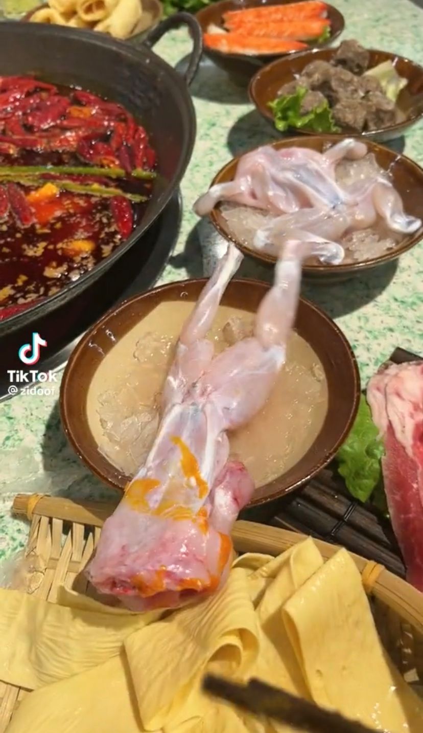 Sudah Dipotong, Kodok Ini Kabur SaatAkan Direbus di Kuah Hot Pot!