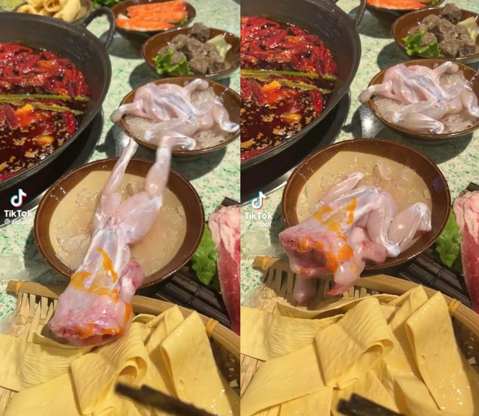 Sudah Dipotong, Kodok Ini Kabur SaatAkan Direbus di Kuah Hot Pot!