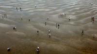 Foto udara sejumlah pengunjung berjalan di muara sungai yang surut (beting) saat digelarnya Festival Kampung Laut di Tanjung Jabung Timur, Jambi, Minggu (18/6/2023). 