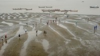 Fenomena surutnya air laut selama sekitar dua jam yang merupakan rangkaian Festival Kampung Laut tersebut dimanfaatkan ratusan pengunjung untuk memancing (mutik) sumbun (Solen grandis) di beting itu. 