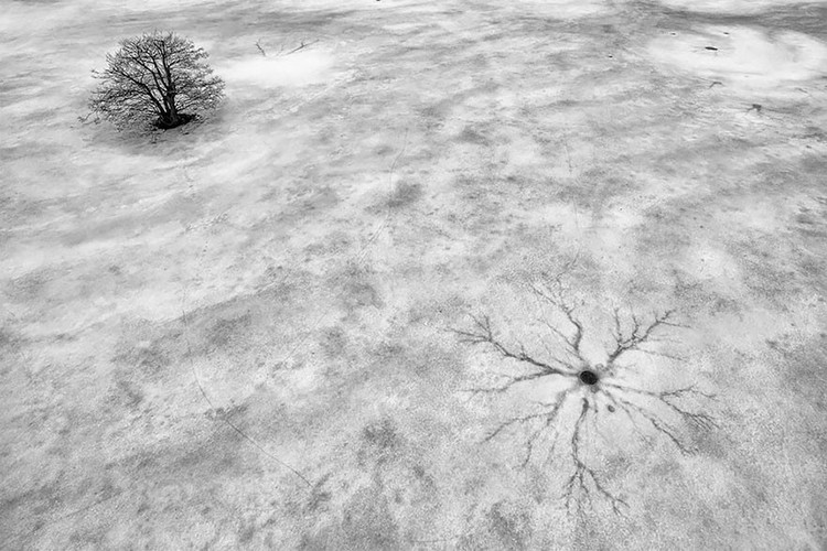 Foto drone