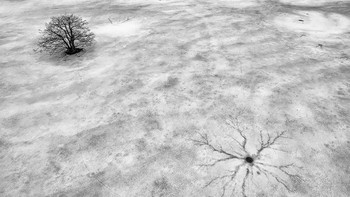 Es musim dingin. Foto: Fotograferworld via LoveMyFamilyMag.com