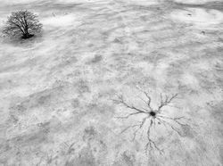 Foto Drone Keren Berbagai Penampakan dari Atas