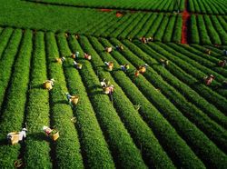 Foto Drone Keren Berbagai Penampakan dari Atas