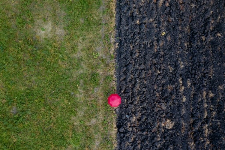 Foto drone