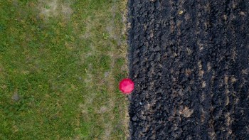 Payung merah di atas lahan pertanian. Foto: Caesarpmr via LoveMyFamilyMag.com