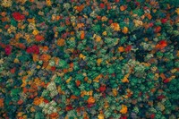 Foto drone