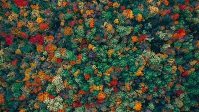 Foto Drone Keren Berbagai Penampakan dari Atas