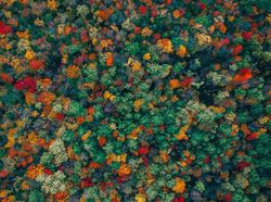 Foto Drone Keren Berbagai Penampakan dari Atas