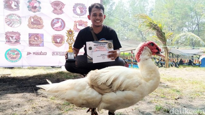 Kontes Menthok Mini Series Purworejo di Pantai Jetis, Desa Patutrejo, Kecamatan Grabag, Purworejo, Minggu (18/6/2023).