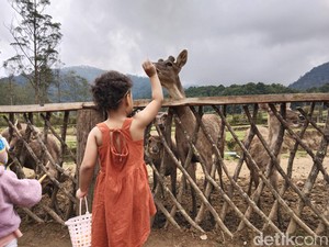 Cuti Bersama Idul Adha Diputuskan, Libur 28-30 Juni!