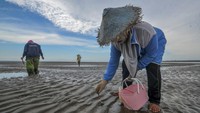 Nelayan setempat (umumnya perempuan) memanfaatkan waktu pasang surut air yang berlangsung selama sekitar dua jam sehari untuk memancing sumbun dengan hasil rata-rata empat kilogram per hari dan dijual Rp 15 ribu per kilogram. 