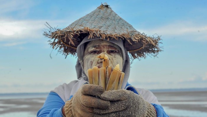 Tiga nelayan memancing sumbun (Solen grandis) di muara sungai yang surut (beting) di Kampung Laut, Tanjung Jabung Timur, Jambi, Minggu (18/6/2023). Nelayan setempat (umumnya perempuan) memanfaatkan waktu pasang surut air yang berlangsung selama sekitar dua jam sehari untuk memancing sumbun dengan hasil rata-rata empat kilogram per hari dan dijual Rp15 ribu per kilogram. ANTARA FOTO/Wahdi Septiawan/YU