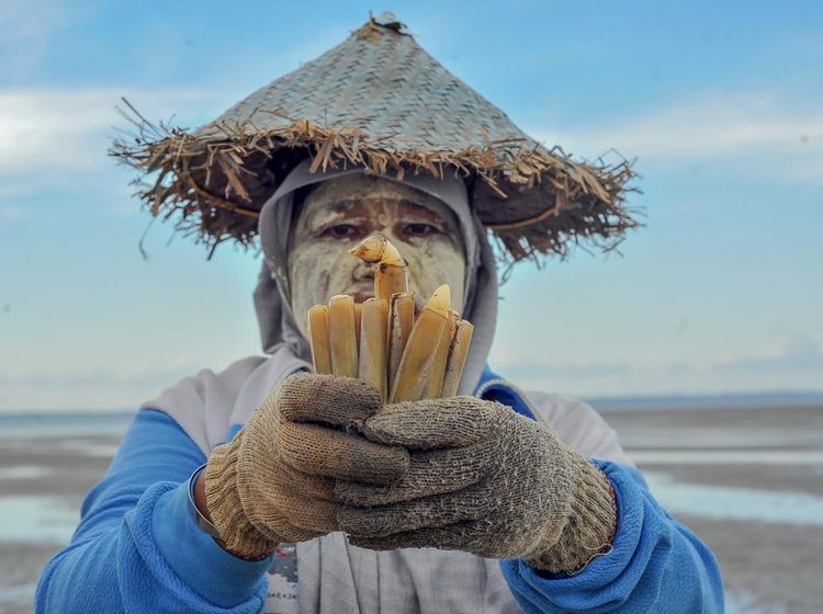 Potret Nelayan Pencari Sumbun di Kampung Laut