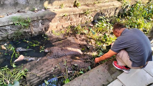 Pria tanpa identitas ditemukan tewas di saluran irigasi Jalan Mahendradatta, Lingkungan Merta Buana, Kelurahan Padangsambian, Kecamatan Denpasar Barat, Kota Denpasar.