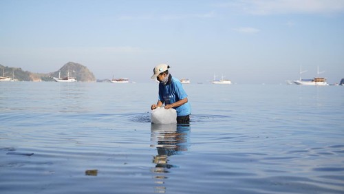 Kegiatan Underwater Cleanup dan Beach Cleanup di Labuan Bajo pada 16-17 Juni 2023 berhasil mengumpulkan hampir satu ton sampah.