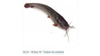 Tinggal panggil Le. Foto: Twitter/finrul