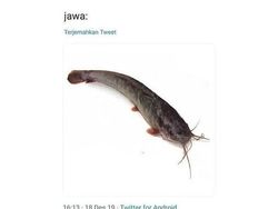 10 Meme yang Cuma Bisa Dipahami Orang Jawa