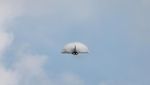 Aksi-aksi Pesawat Meriahkan Hari Pertama Paris Air Show